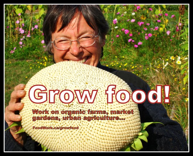 Organic farming and gardening